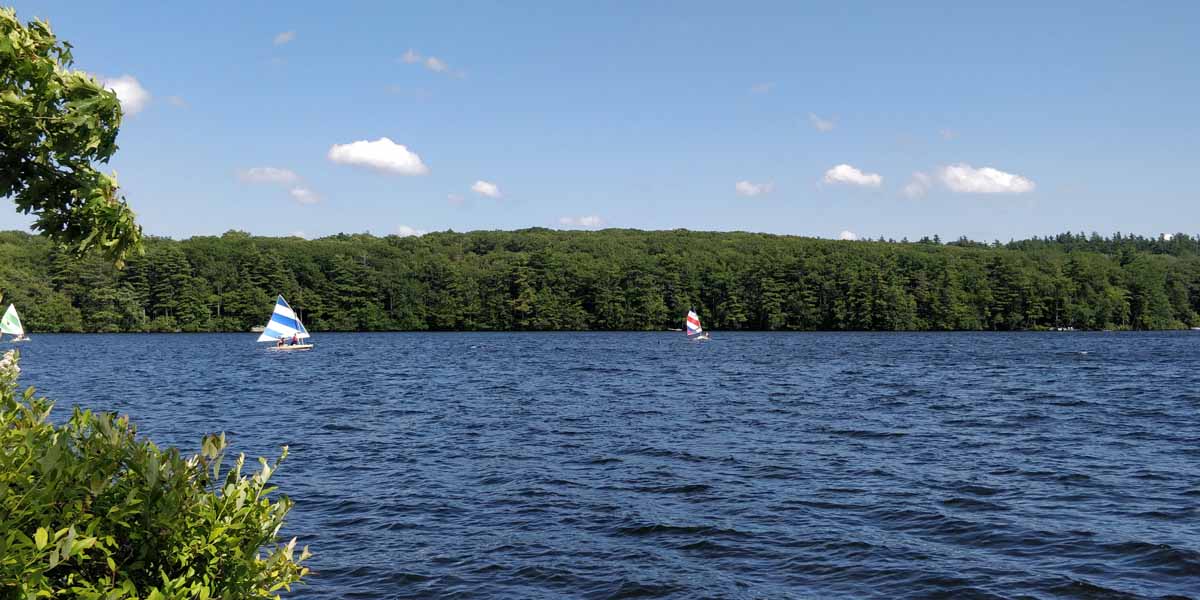 IMG_20240716_154146.jpg