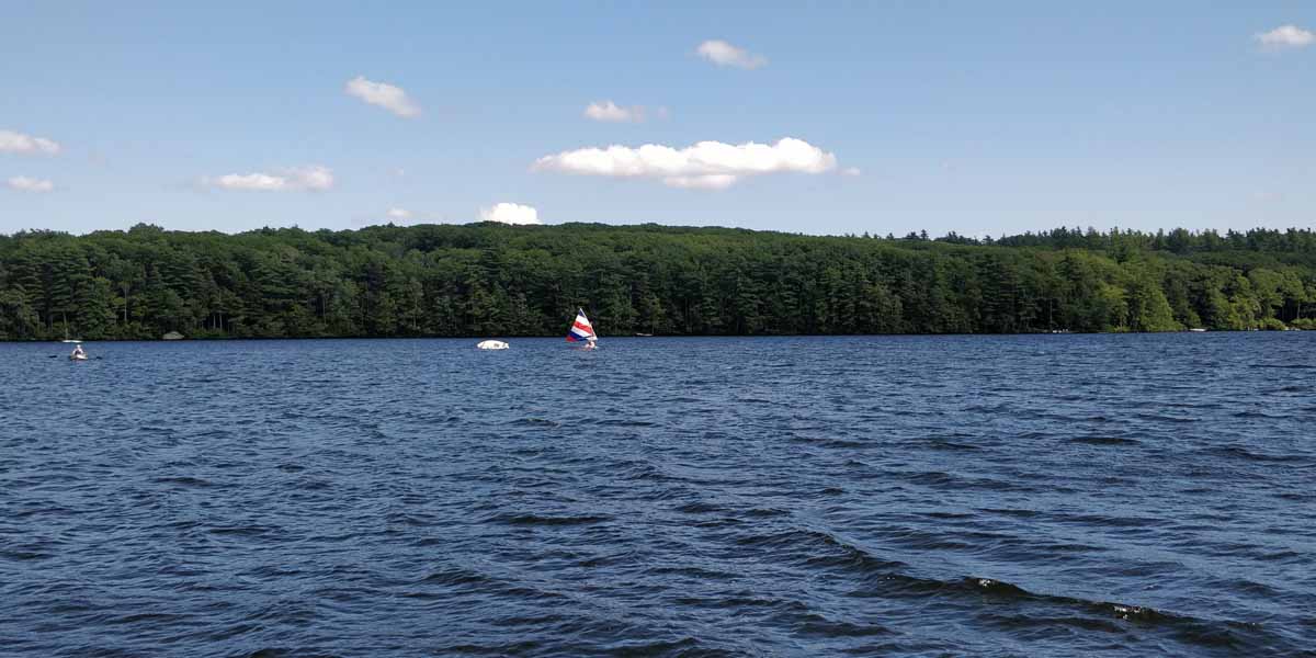 IMG_20240716_154539.jpg