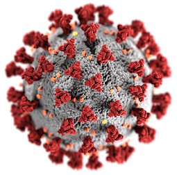 COVID-19 Virus Image