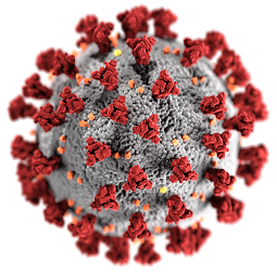 COVID-19 Virus Image from CDC